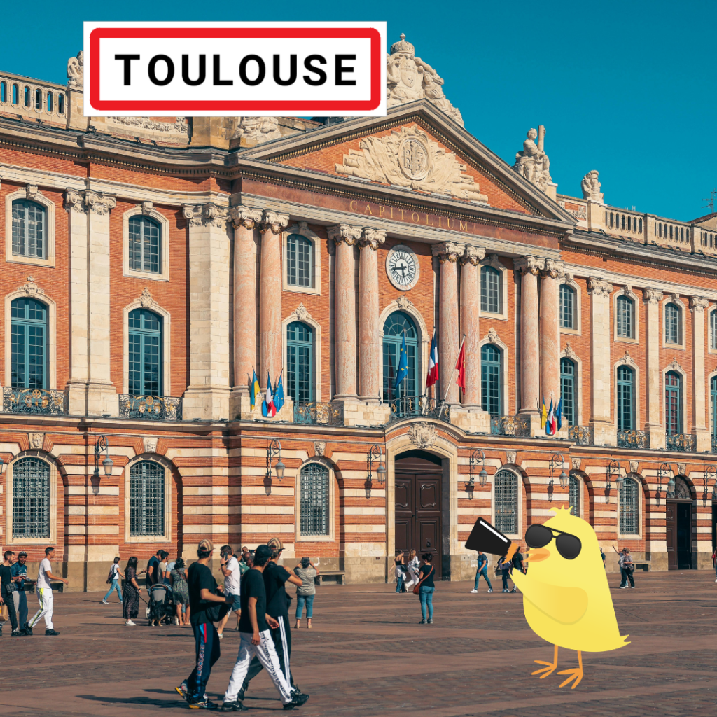 Recrutement Responsable Réseau Occitanie Tombée du Nid à Toulouse
