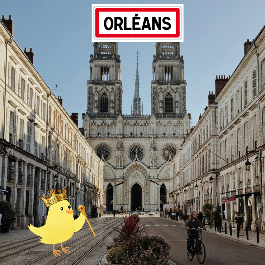 Recrutement Responsable Réseau Centre-Val de Loire Tombée du Nid à Orléans