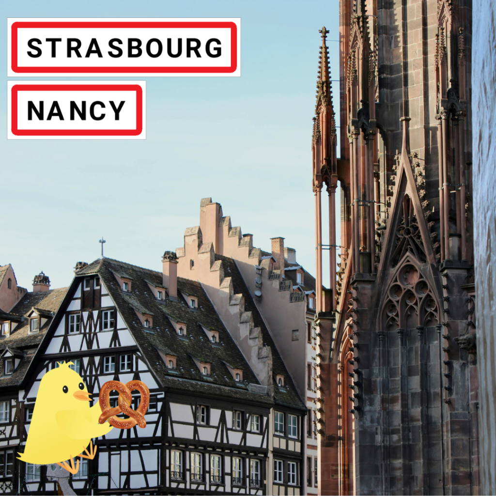 Recrutement Responsable Réseau Grand Est Tombée du Nid à Nancy ou Strasbourg