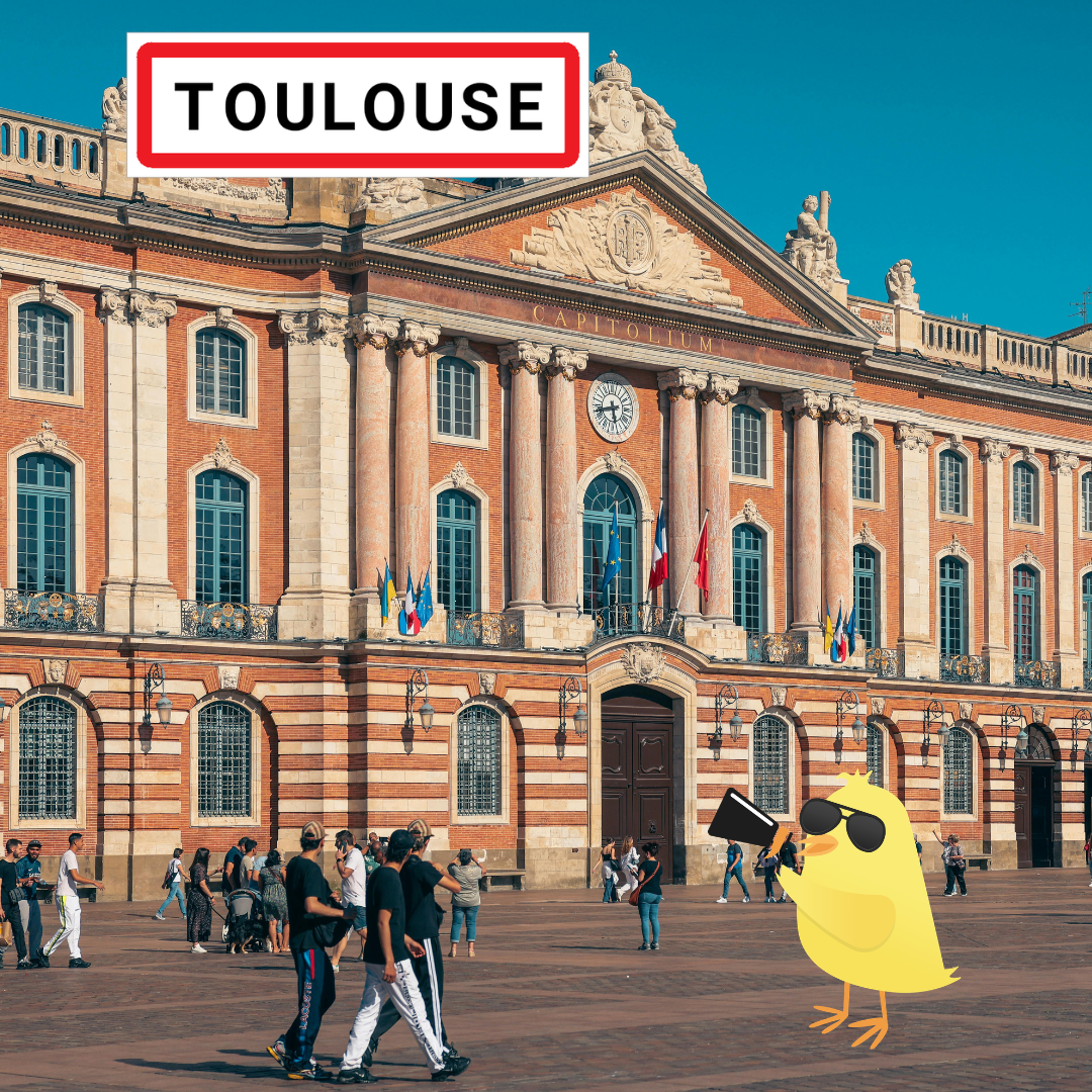 Recrutement Responsable Réseau Occitanie Tombée du Nid à Toulouse