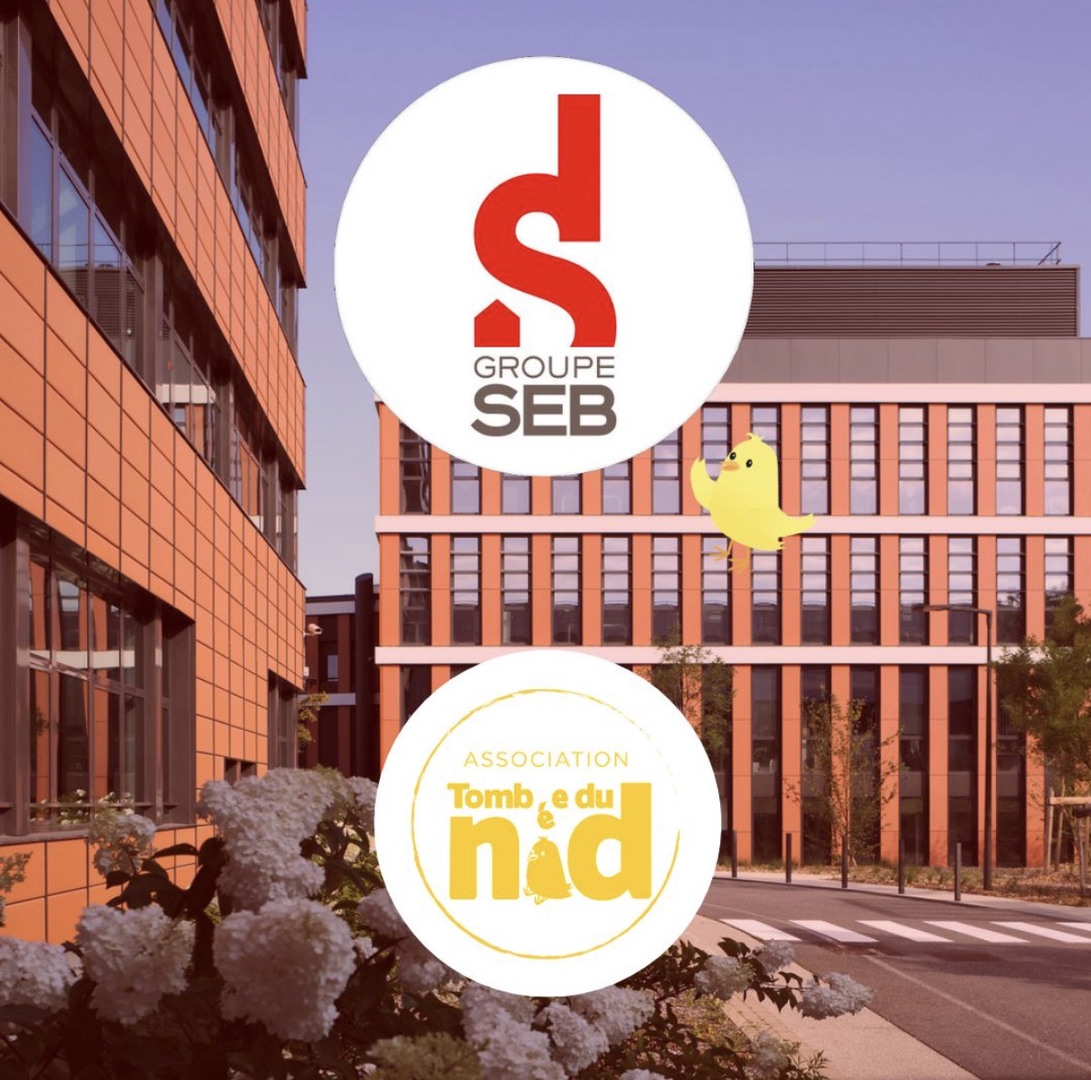Fondation SEB