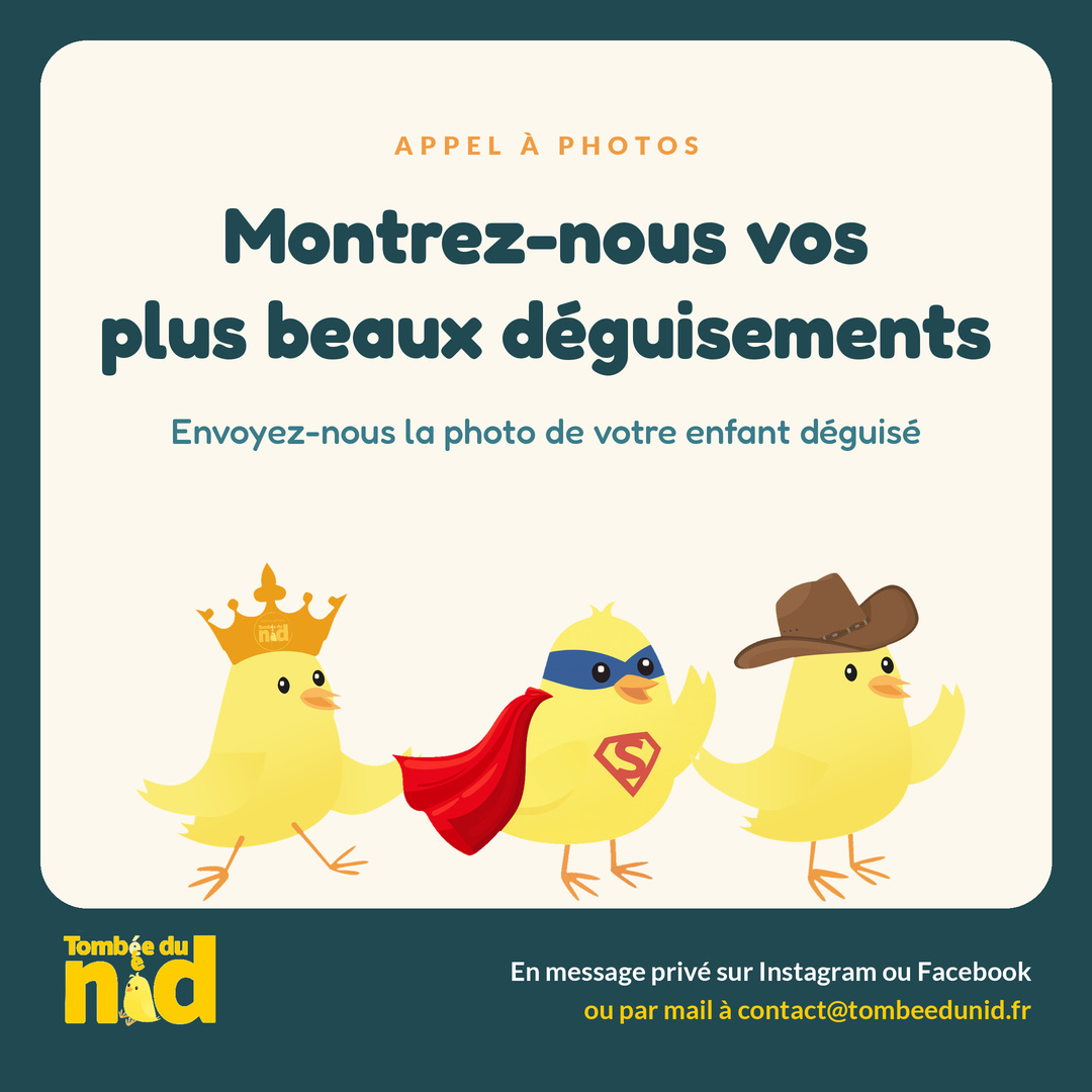 Trois poussins Tombée du Nid déguisés en roi, en super-héros et en cow-boy